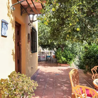 Venta de finca - cortijo en Ojén