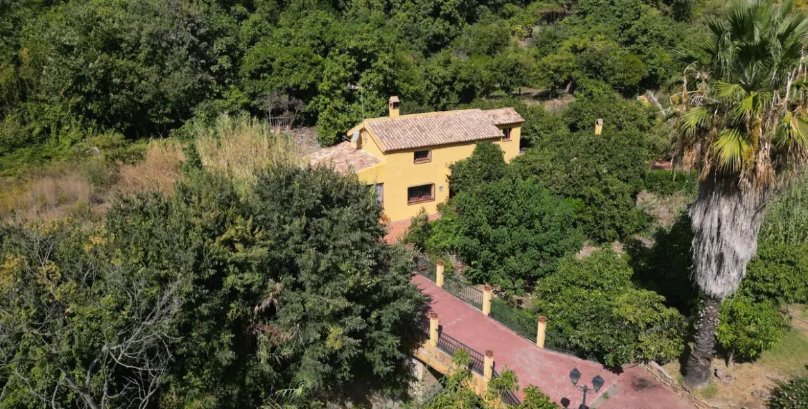 Venta de finca - cortijo en Ojén 15
