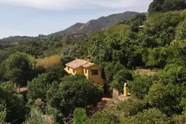 Image 17 thumb