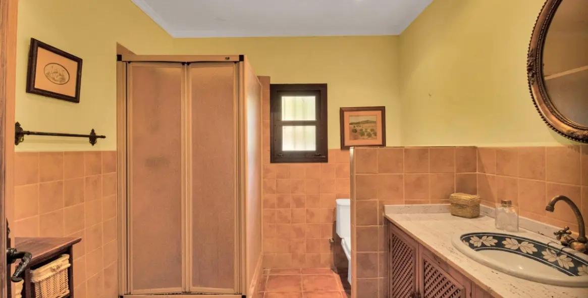 Venta de finca - cortijo en Ojén 32