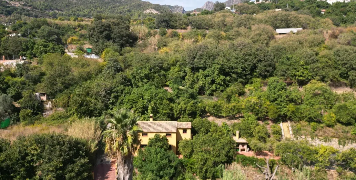 Venta de finca - cortijo en Ojén 37