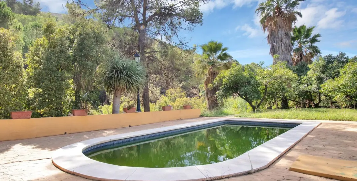 Venta de finca - cortijo en Ojén 49