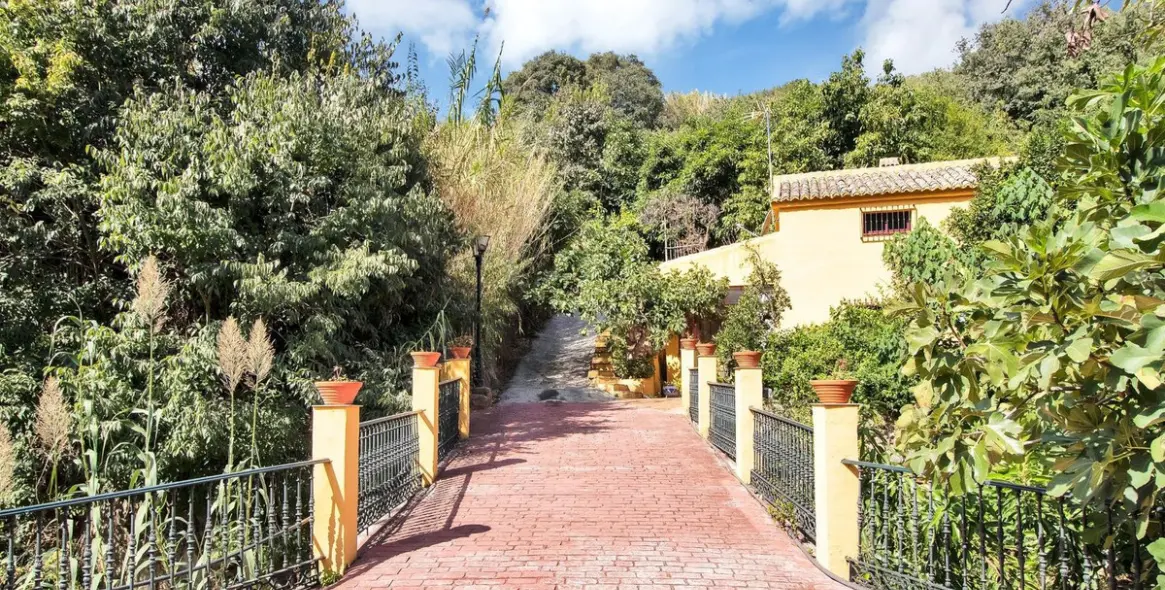 Venta de finca - cortijo en Ojén 51