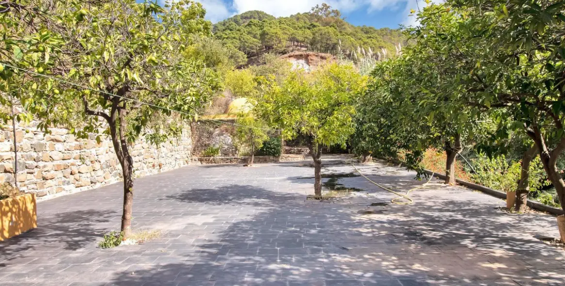Venta de finca - cortijo en Ojén 56