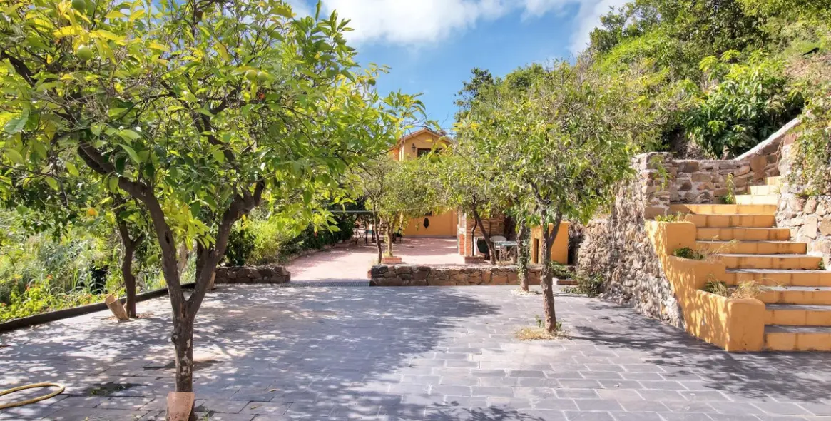 Venta de finca - cortijo en Ojén 57