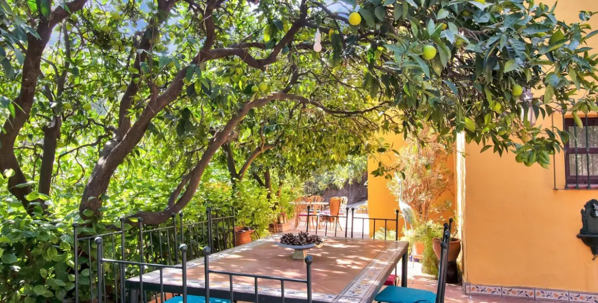 Venta de finca - cortijo en Ojén 66