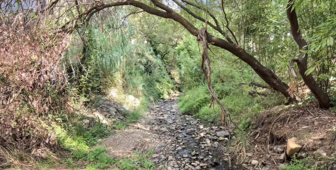 Venta de finca - cortijo en Ojén 67