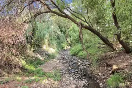 Image 67 thumb