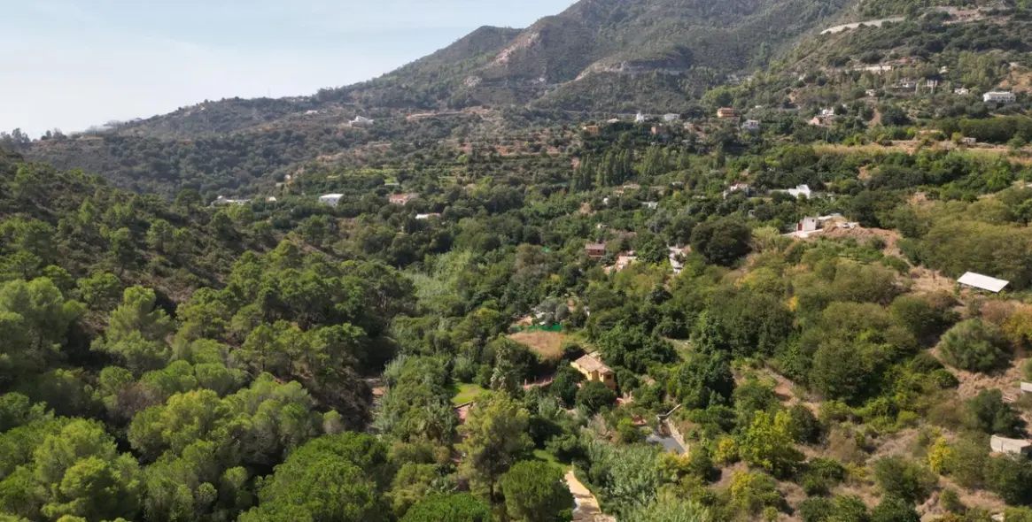 Venta de finca - cortijo en Ojén 69