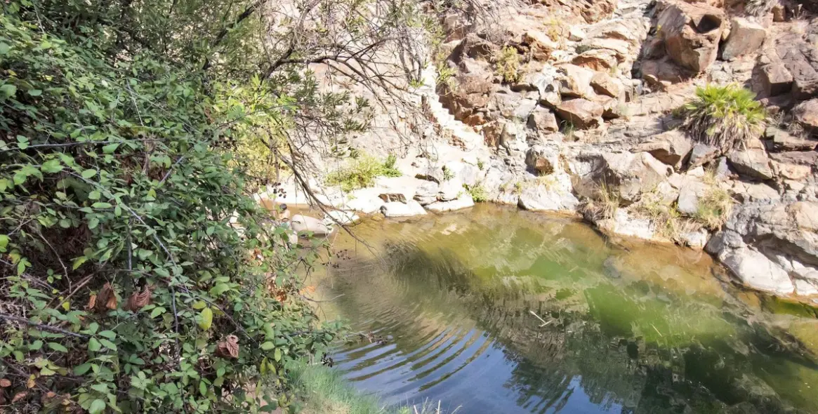 Venta de finca - cortijo en Ojén 71