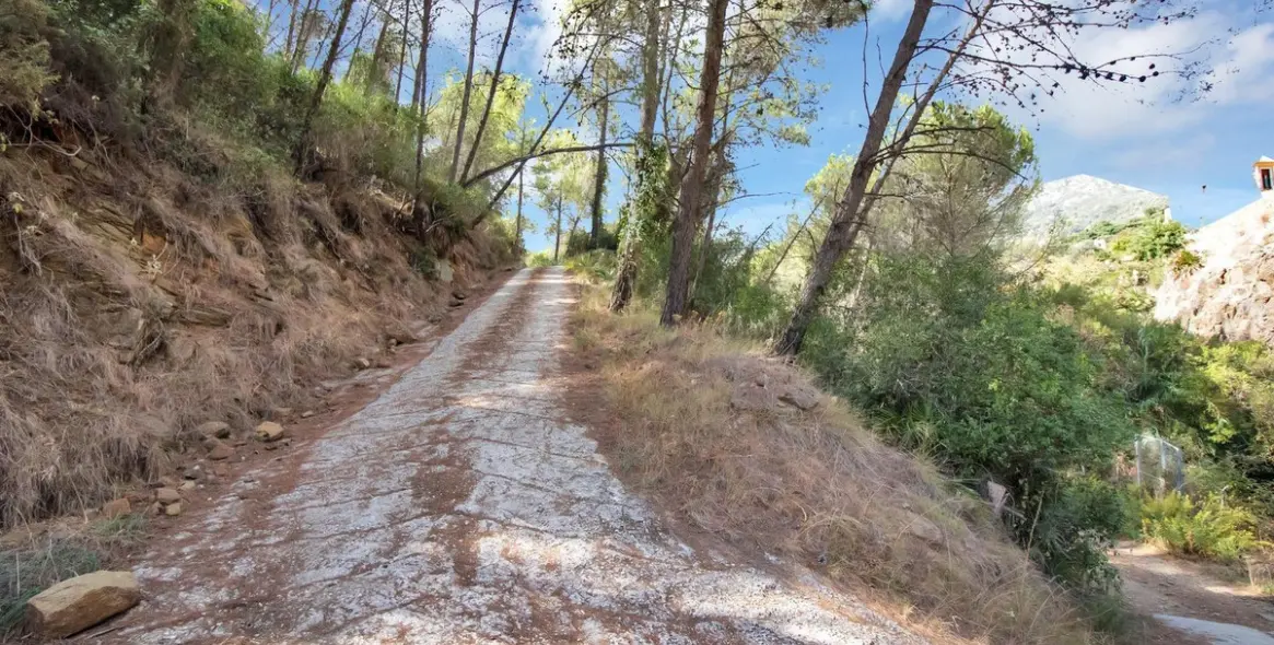 Venta de finca - cortijo en Ojén 72