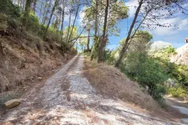 Image 72 thumb