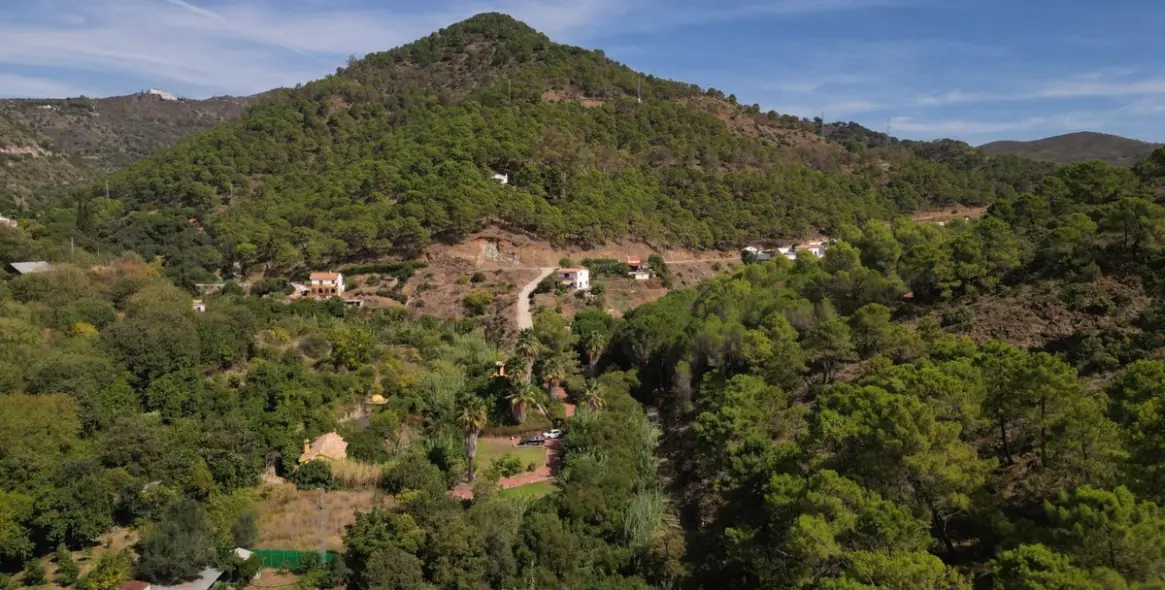 Venta de finca - cortijo en Ojén 77