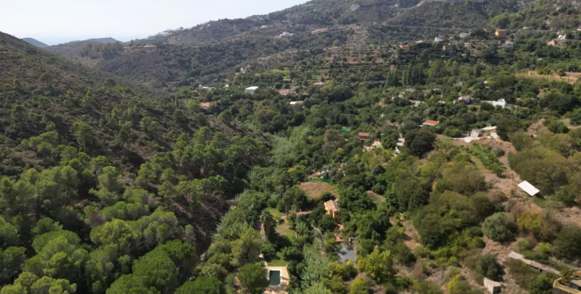Venta de finca - cortijo en Ojén 79