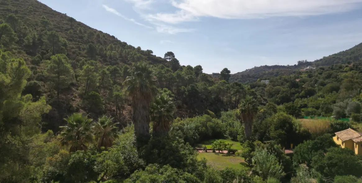 Venta de finca - cortijo en Ojén 82