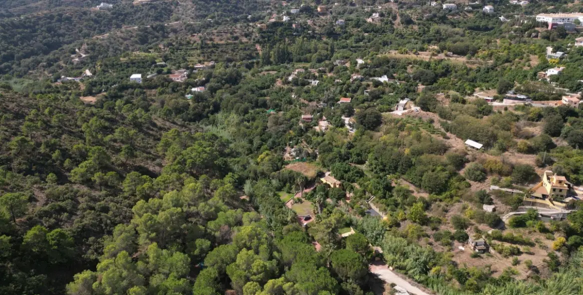 Venta de finca - cortijo en Ojén 83