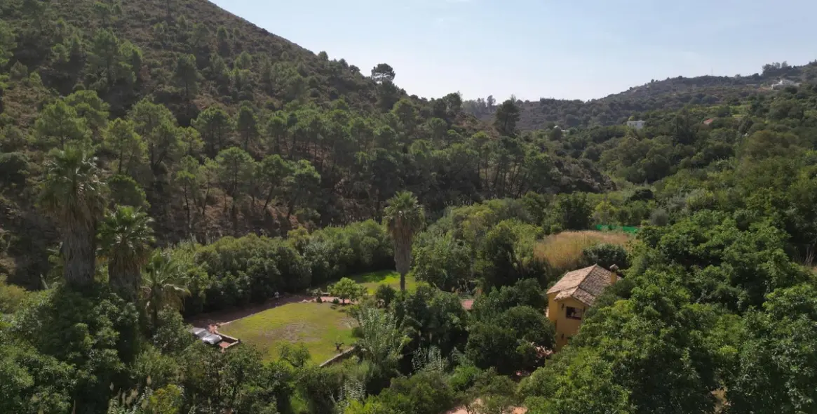 Venta de finca - cortijo en Ojén 84