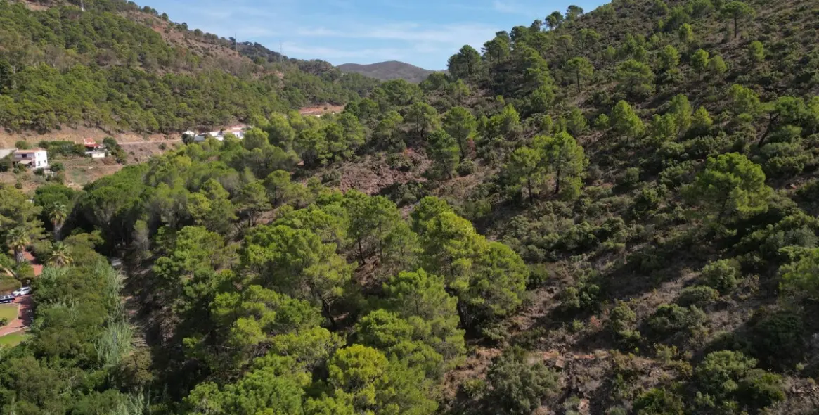 Venta de finca - cortijo en Ojén 86