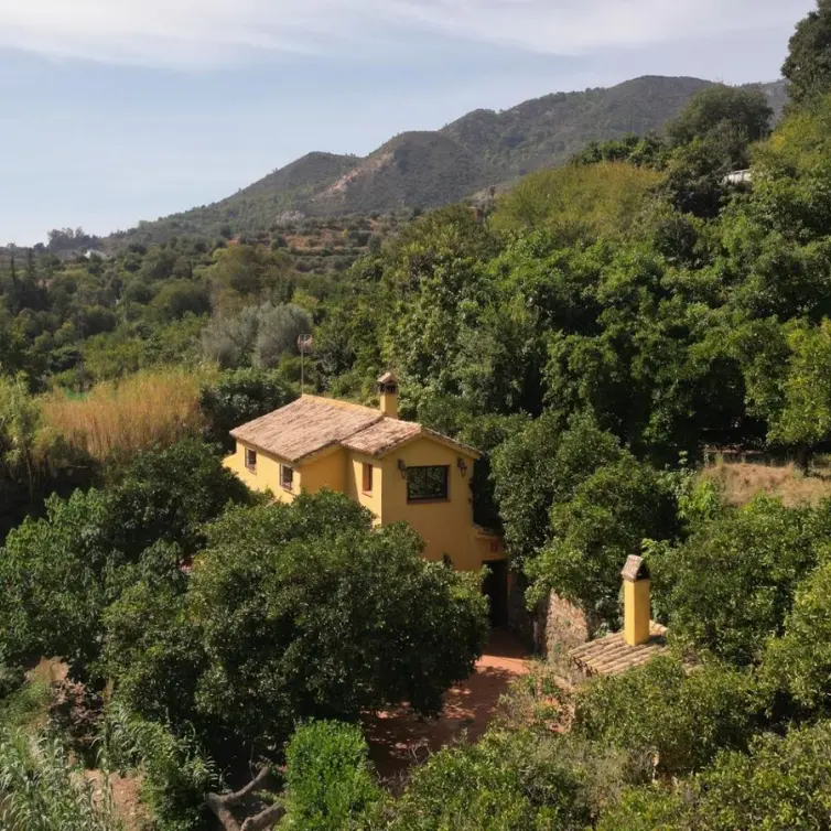 Venta de finca - cortijo en Ojen pueblo