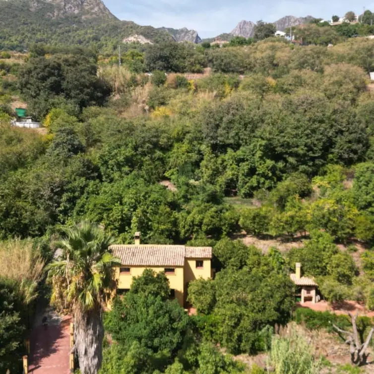Venta de finca - cortijo en Ojen pueblo
