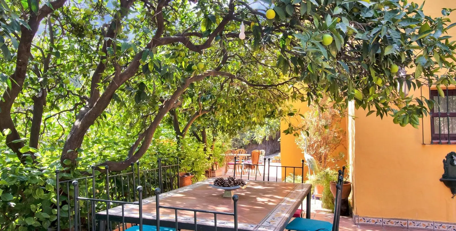 Venta de finca - cortijo en Ojen pueblo 8