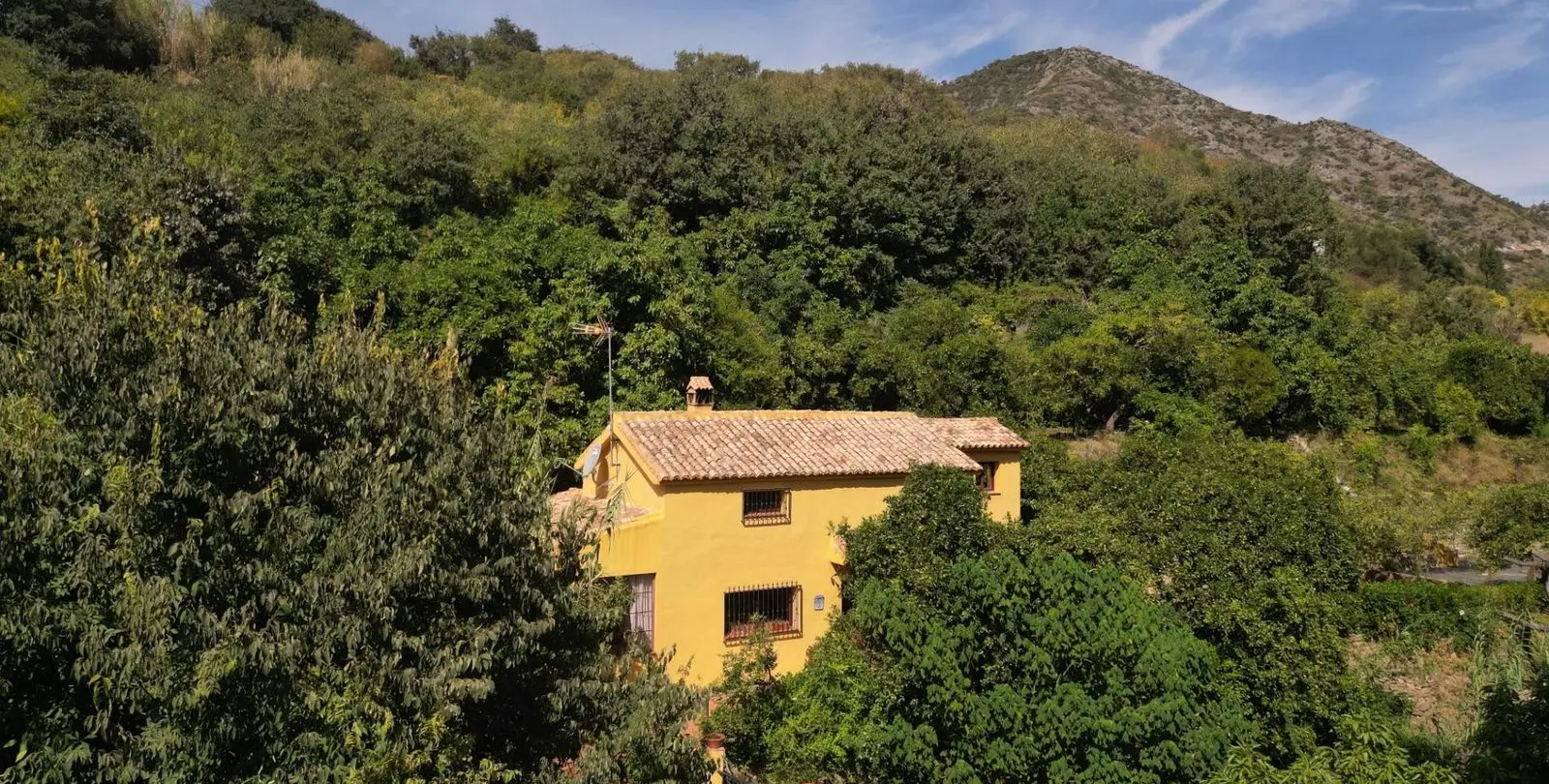 Venta de finca - cortijo en Ojen pueblo 22