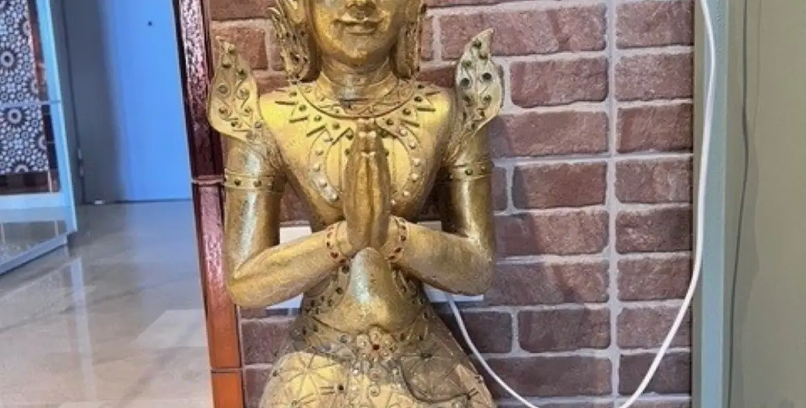 Sale of penthouse in San Pedro de Alcántara 13