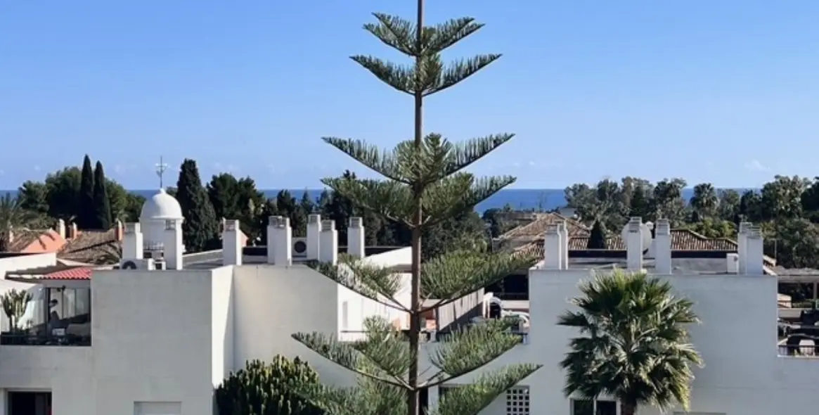 Sale of penthouse in San Pedro de Alcántara 31