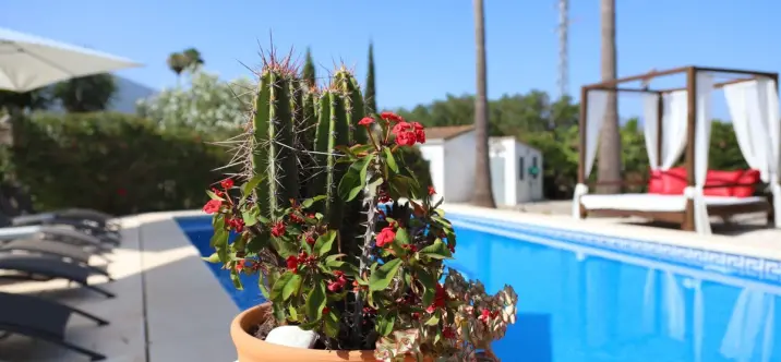 Sale of detached villa in Alhaurín el Grande 3