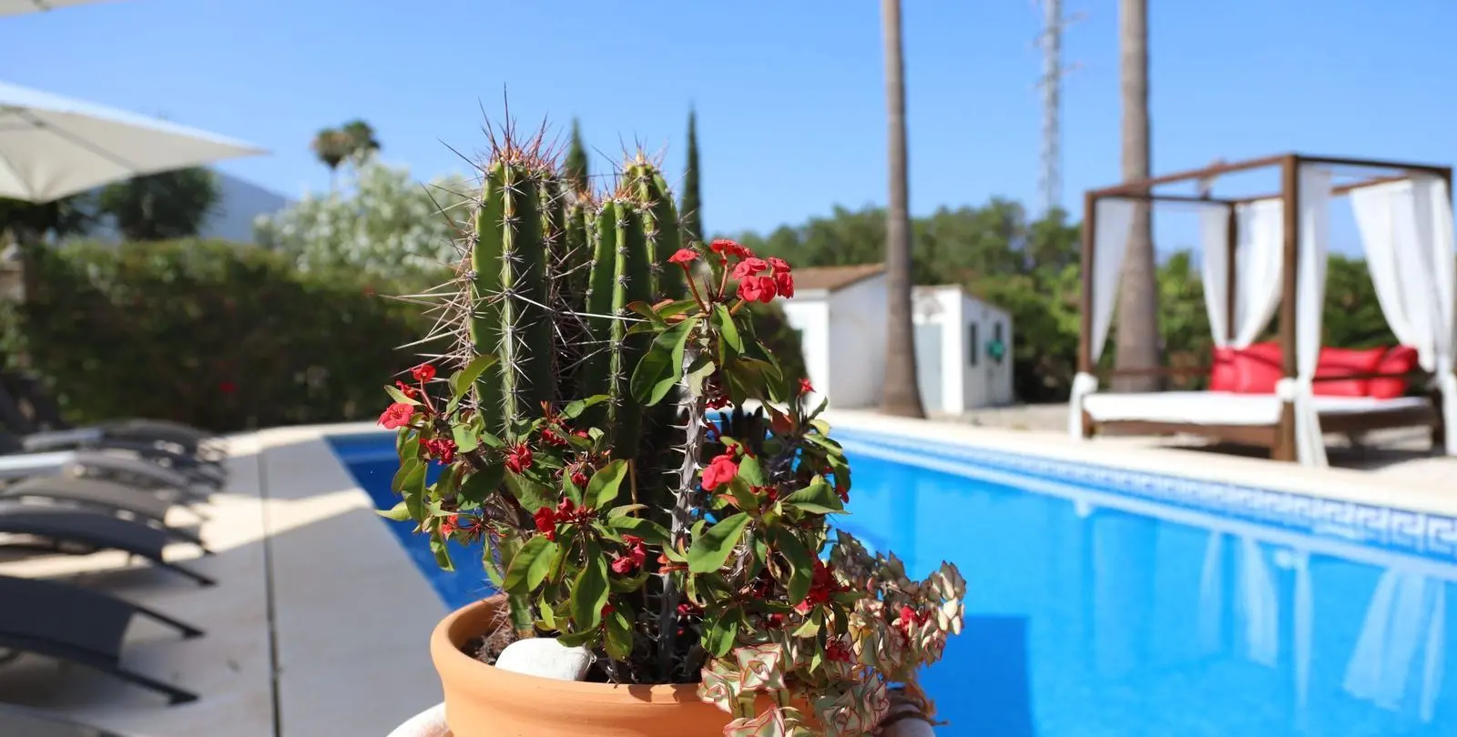 Sale of detached villa in Alhaurín el Grande 4