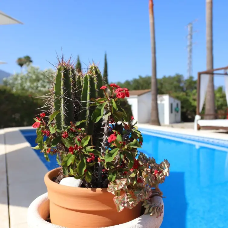 Sale of detached villa in Alhaurín el Grande