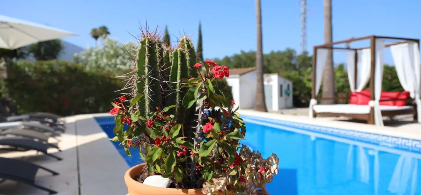 Sale of detached villa in Alhaurín el Grande 3
