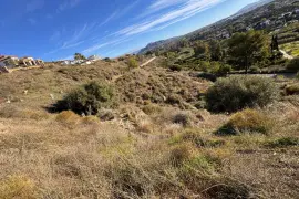Image 7 thumb