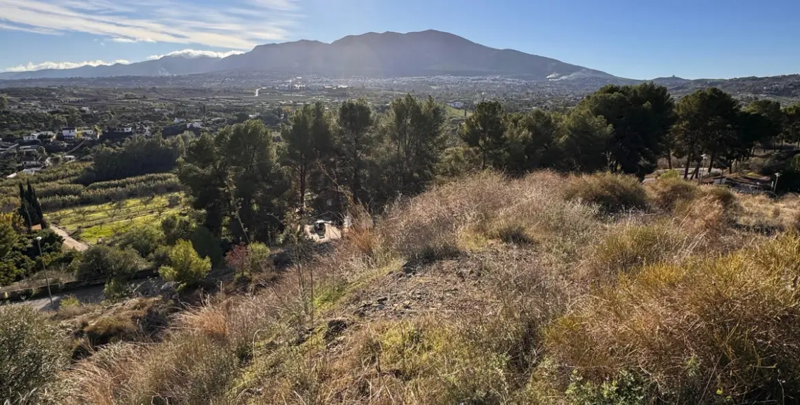 Sale of detached villa in Alhaurín el Grande 8