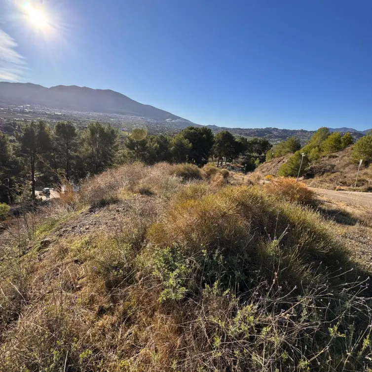 Sale of detached villa in Alhaurín el Grande