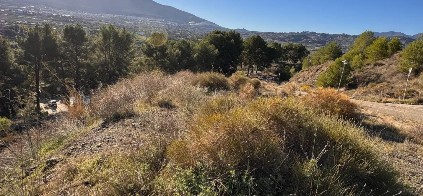 Sale of detached villa in Alhaurín el Grande 4