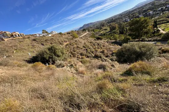 Image 6 thumb