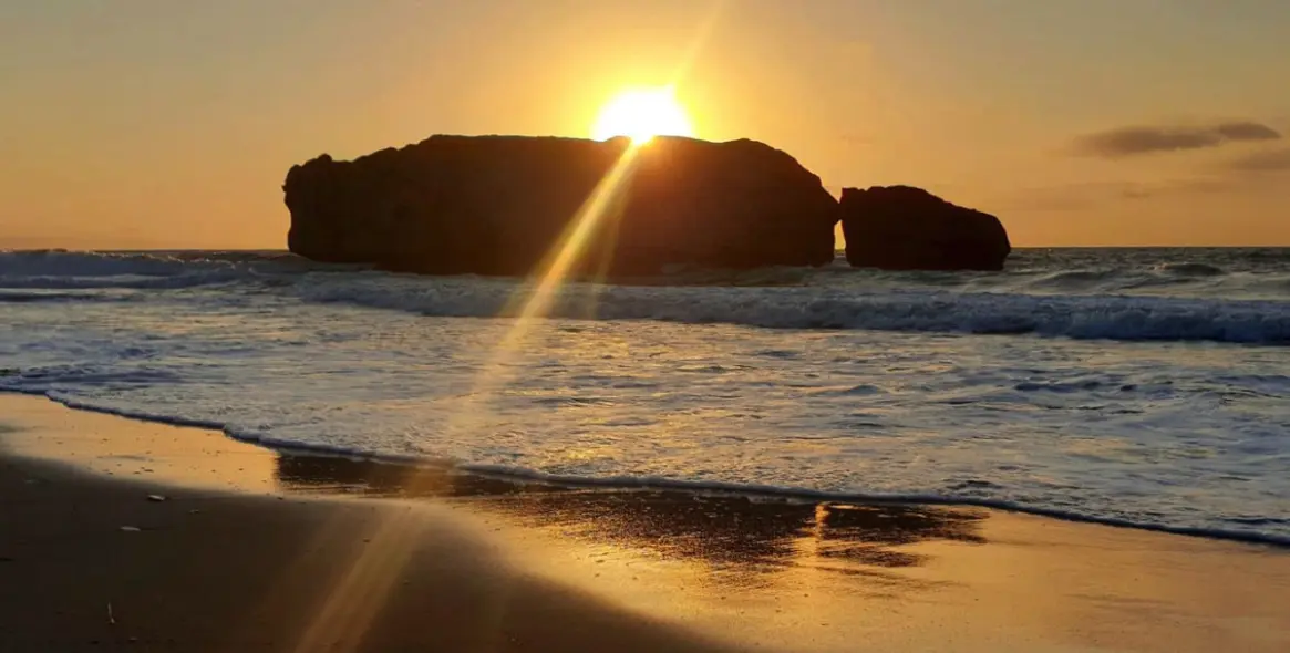 Sale of semi-detached house in Casares Playa 27