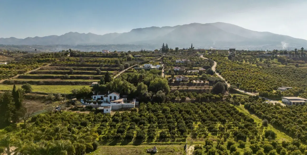 Sale of finca - cortijo in Alhaurín el Grande 3
