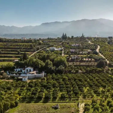 Продажа финки в Alhaurín el Grande