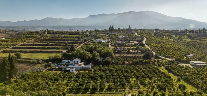 Продажа финки в Alhaurín el Grande 2