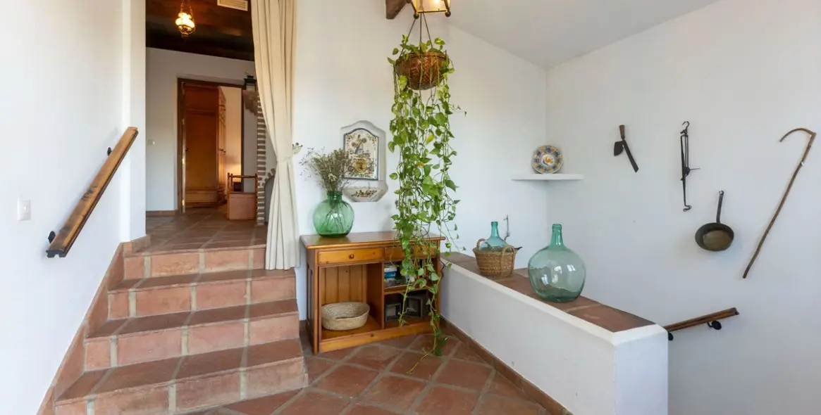 Sale of finca - cortijo in Alhaurín el Grande 5