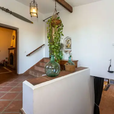 Продажа финки в Alhaurín el Grande