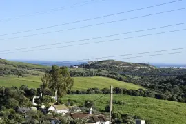 Image 1 thumb