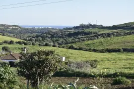 Image 18 thumb