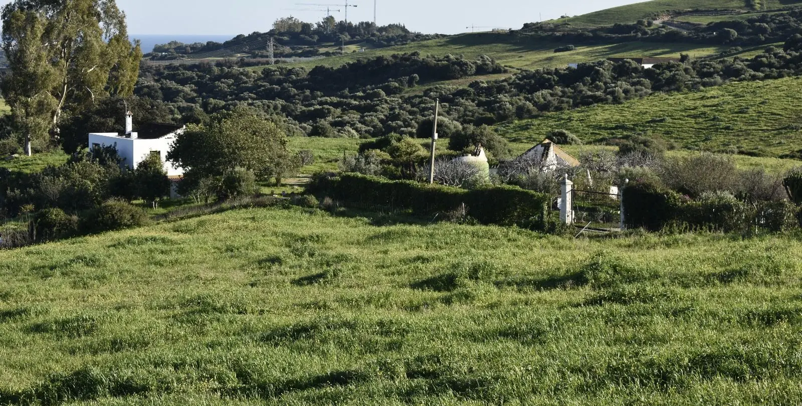 Sale of finca - cortijo in Casares 2