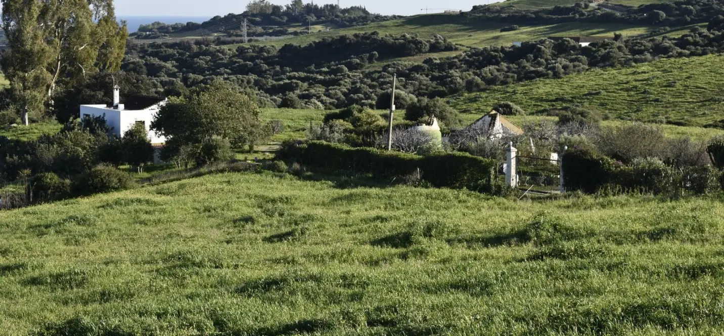 Sale of finca - cortijo in Casares 1