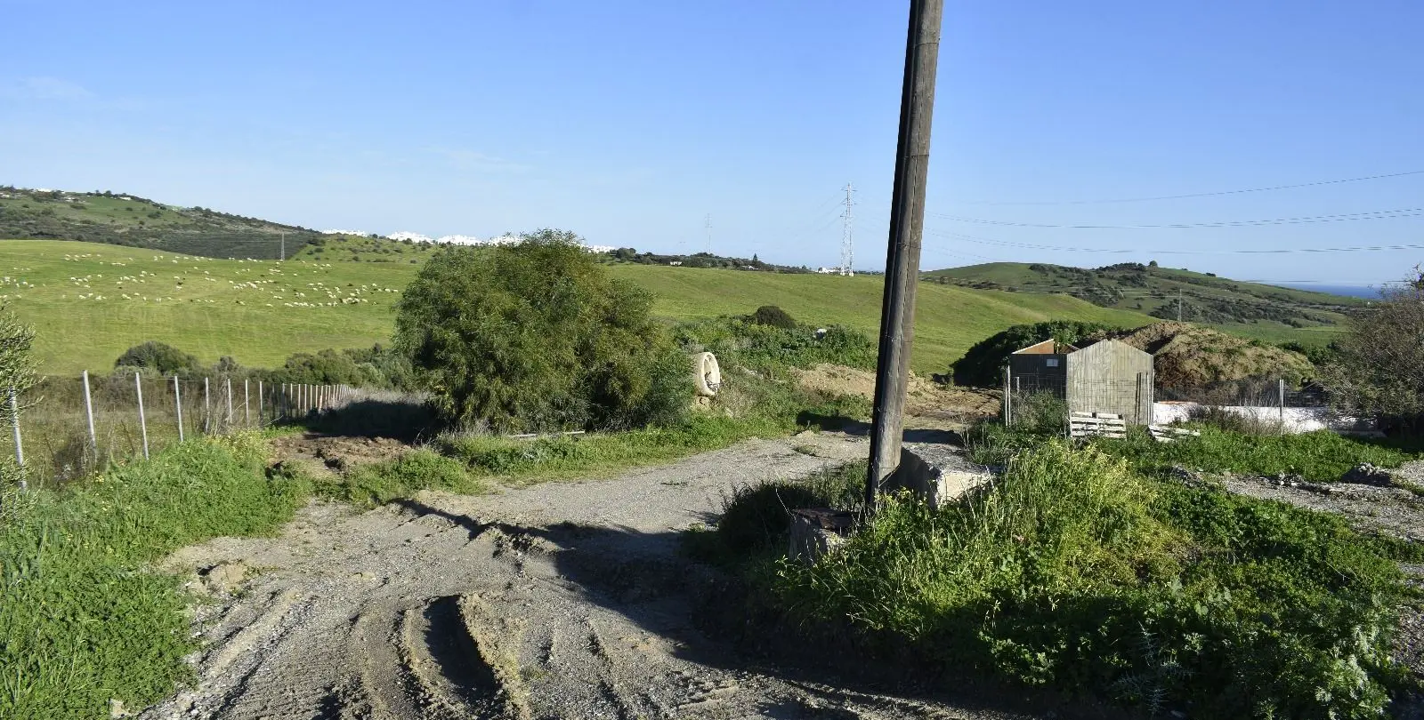 Sale of finca - cortijo in Casares 20
