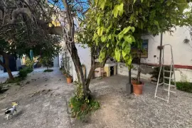 Image 4 thumb