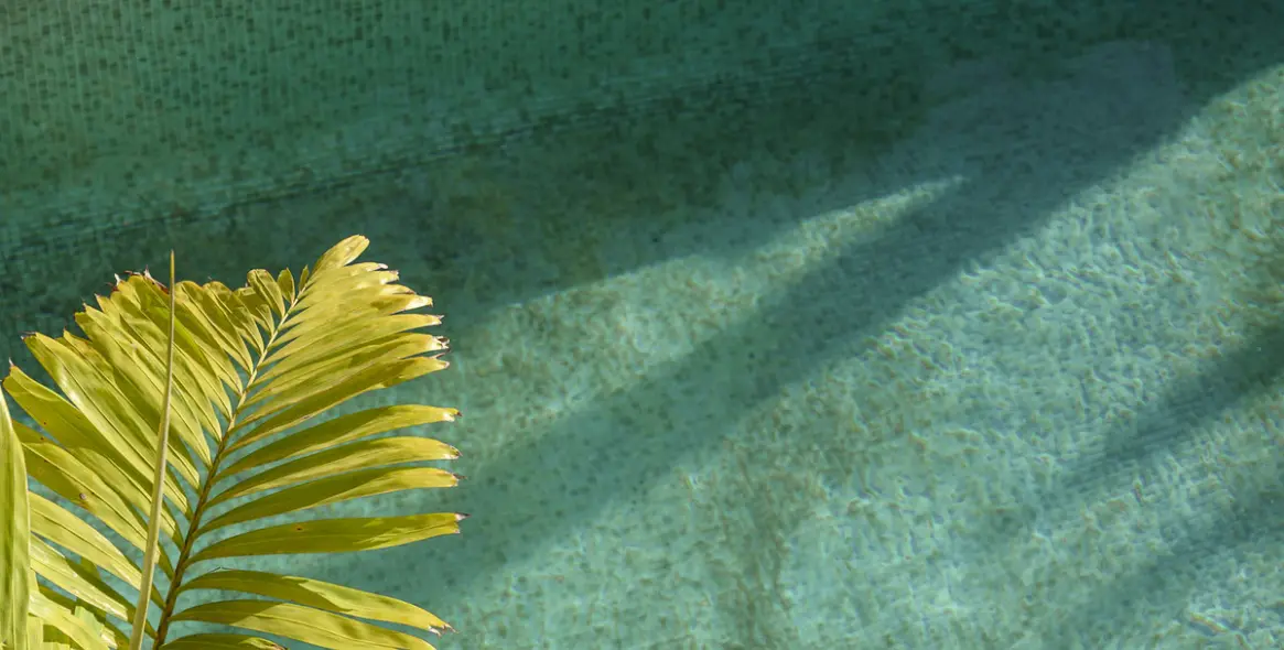 Краткосрочная аренда  отдельно стоящей виллы в Estepona 45